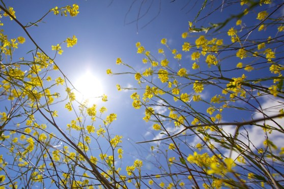 Photo: Crawford Iffland/Unsplash